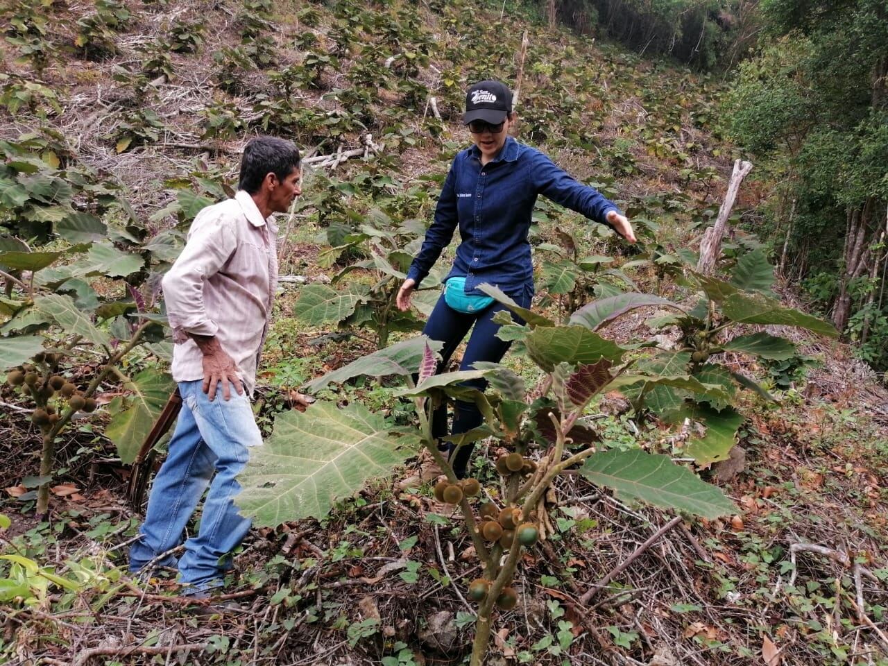 Familias de Aguachica conservan la Serranía del Perijá