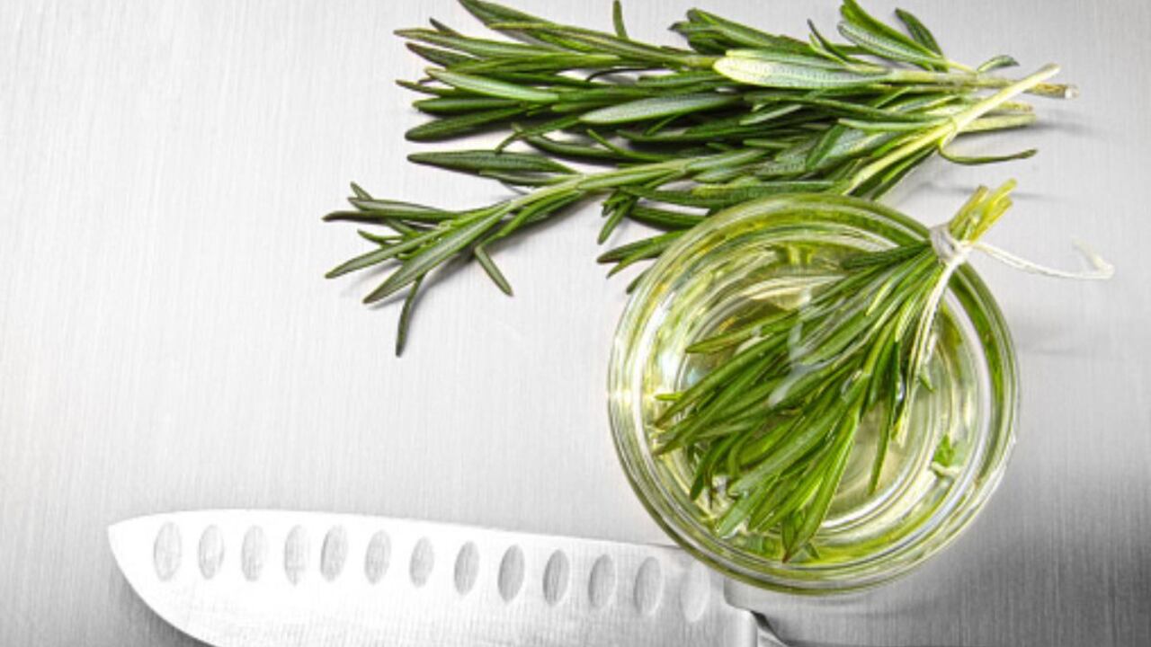 Así se debe cortar la hierbabuena.