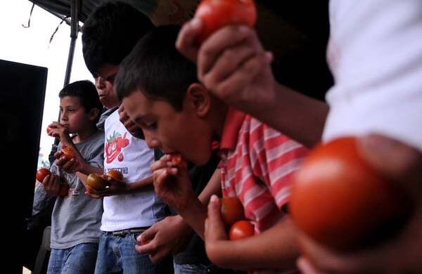 El comelón de tomate. Seis tomates pintones fue el registro del nuevo campeón en comer más número de tomates en dos minutos. 