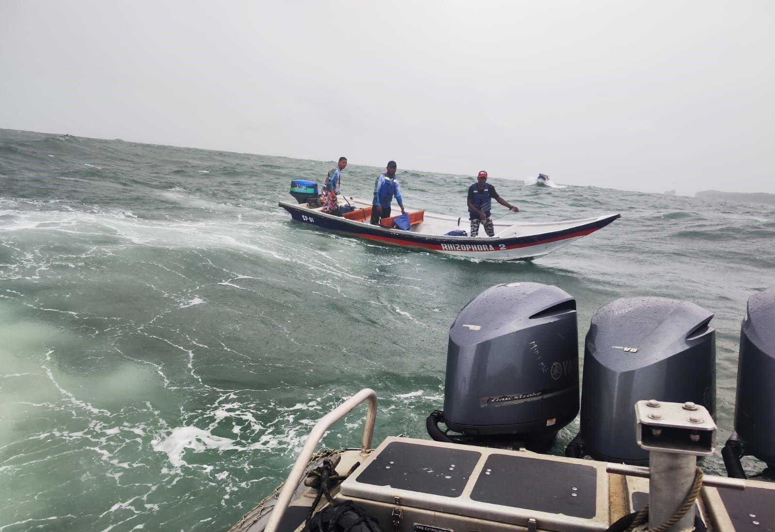 Las vítimas estaban realizando avistamiento de ballenas