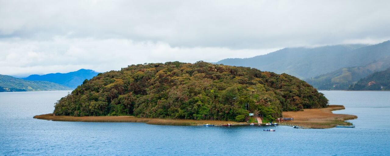 Santuario de Flora Isla de la Corota