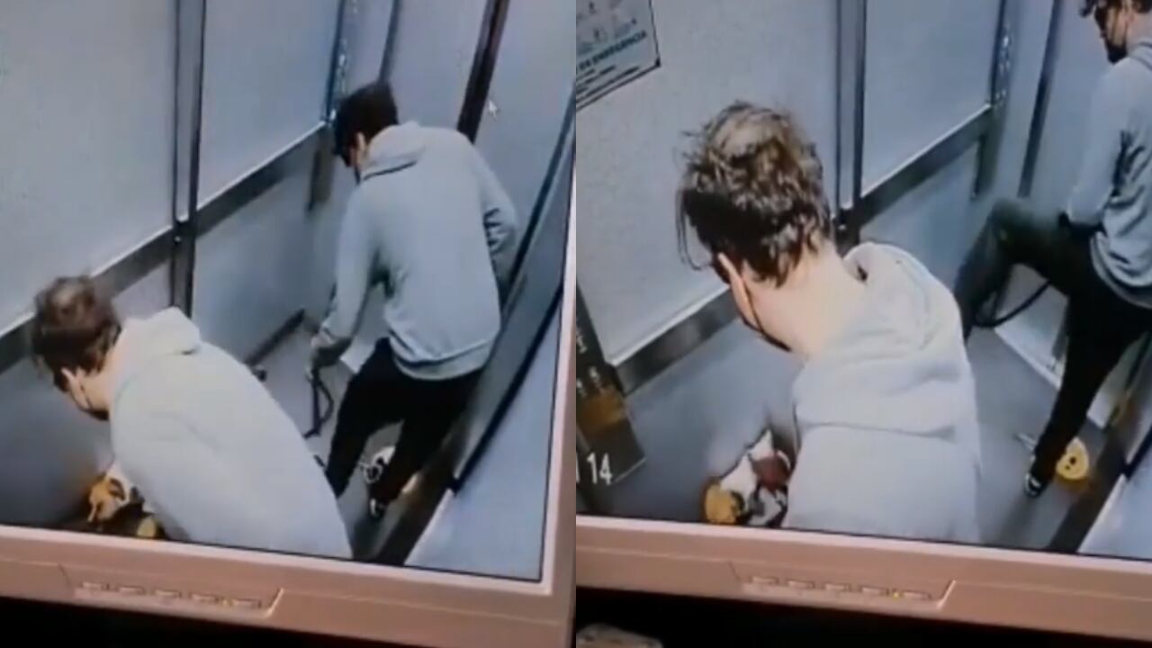 Caso de maltrato animal en Bogotá