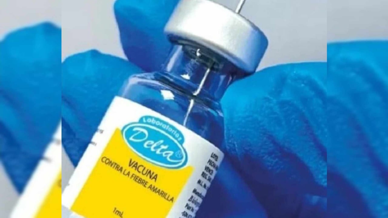La vacuna contra la fiebre amarilla es gratuita y sigue siendo la principal medida para prevenir muertes por el virus en Colombia.