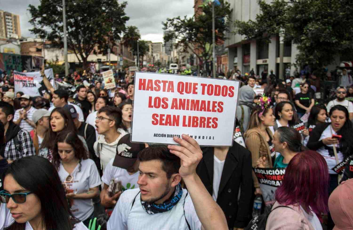 Foto: Sergio Ivan Acero Yate