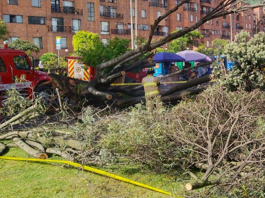 Varios ciudadanos ayudaron a cortar las ramas para atender a los heridos.