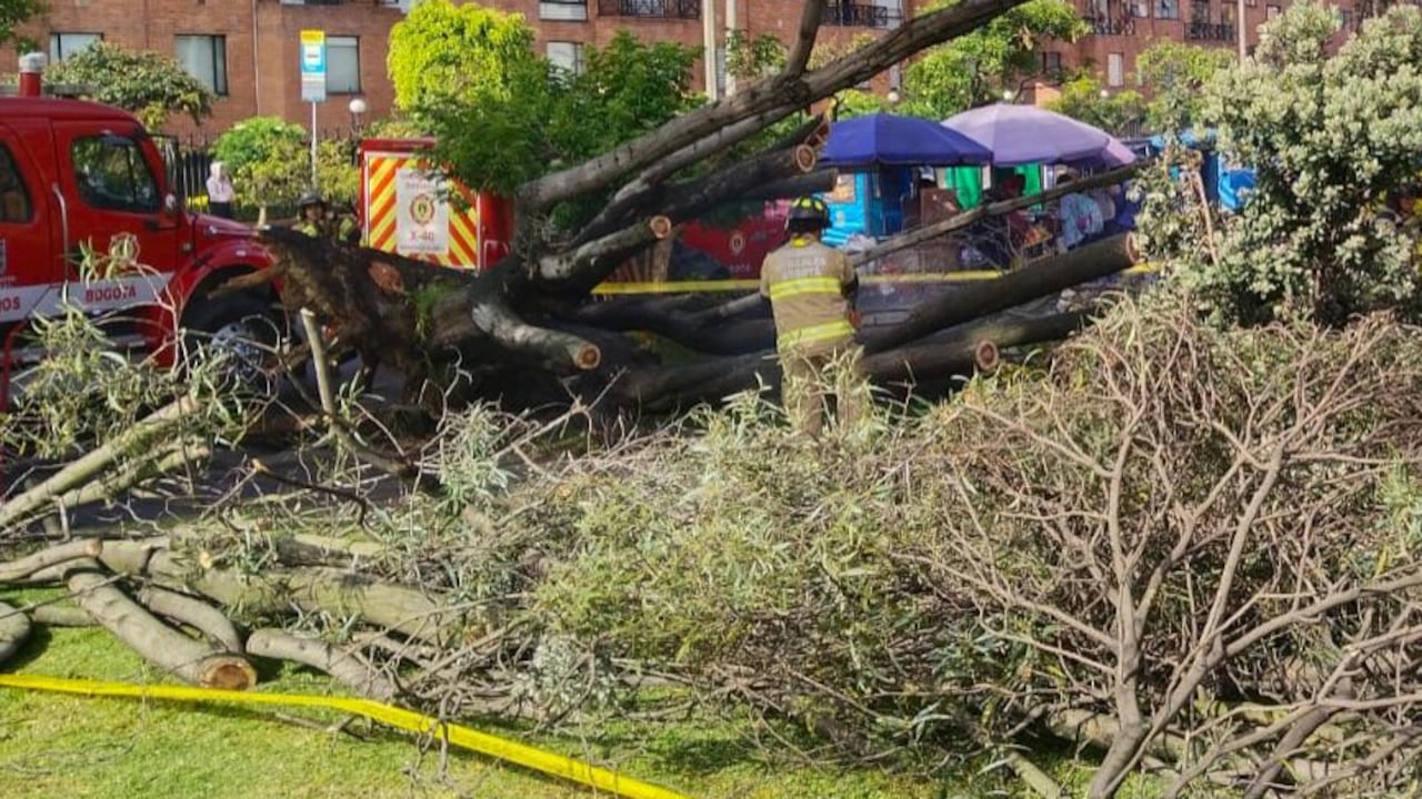 La emergencia ocurrió en la localidad de Usaquén,