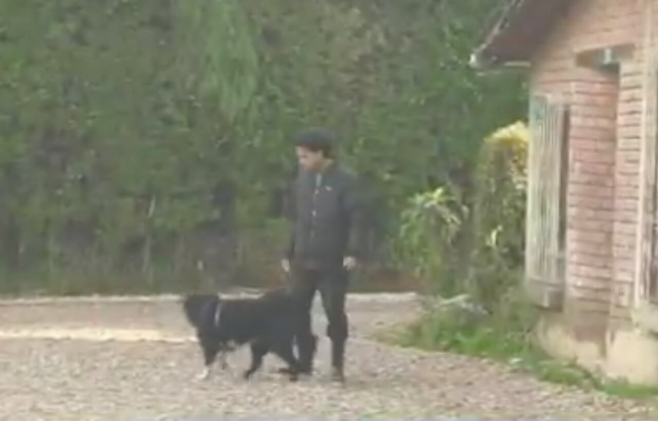 Apolo, el perro de Valeria Afanador