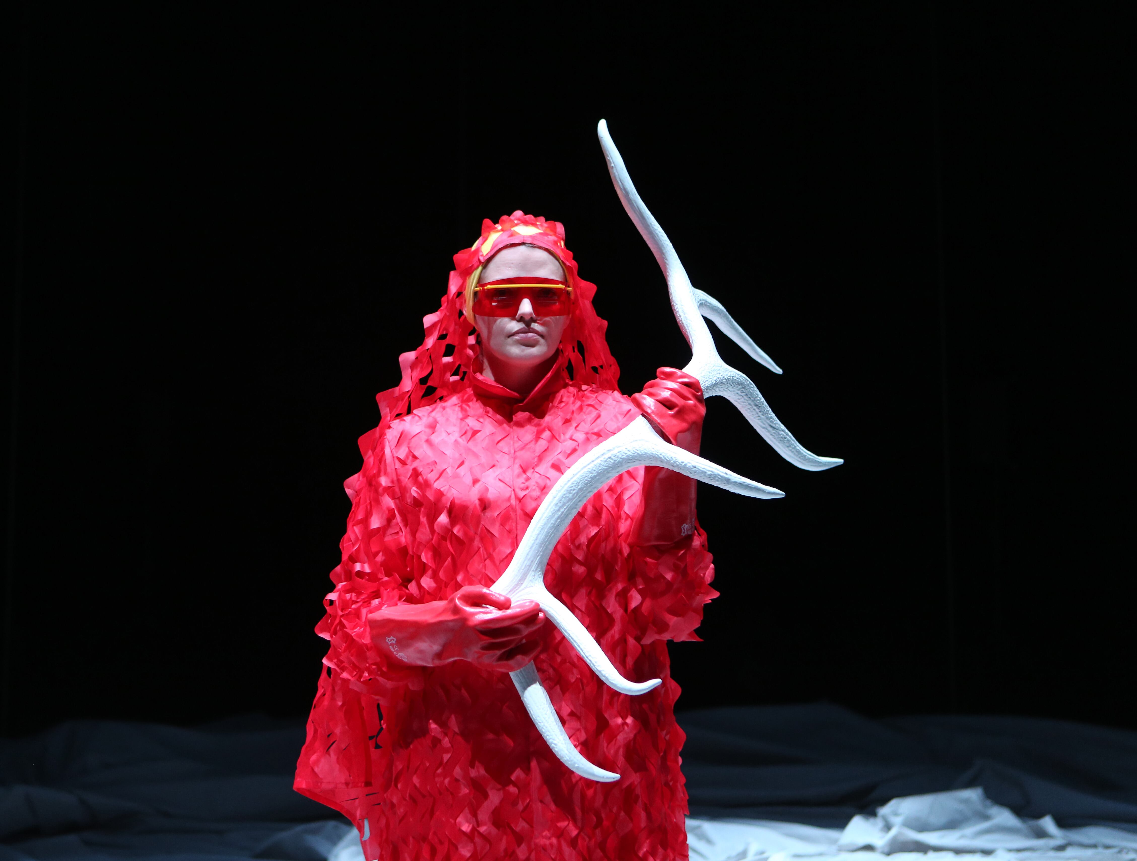 Dinamarca, 'Neoarctic', Hotel Proforma.