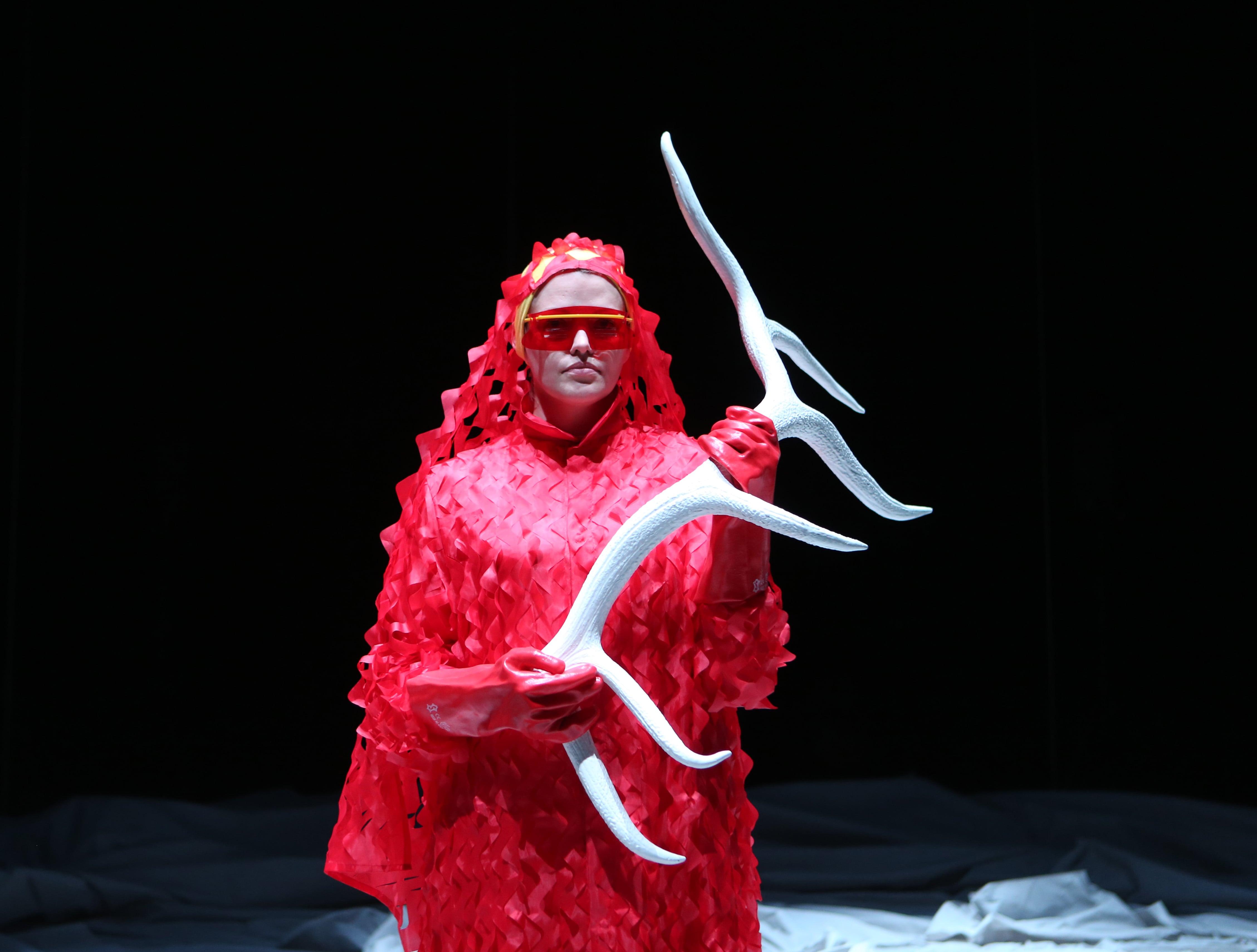 Dinamarca, 'Neoarctic', Hotel Proforma.