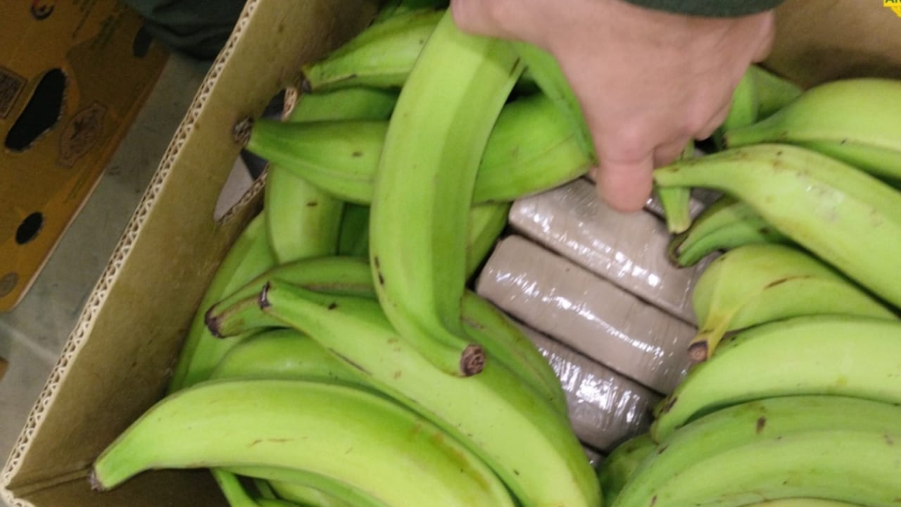 Incautación de cocaína en Santa Marta.