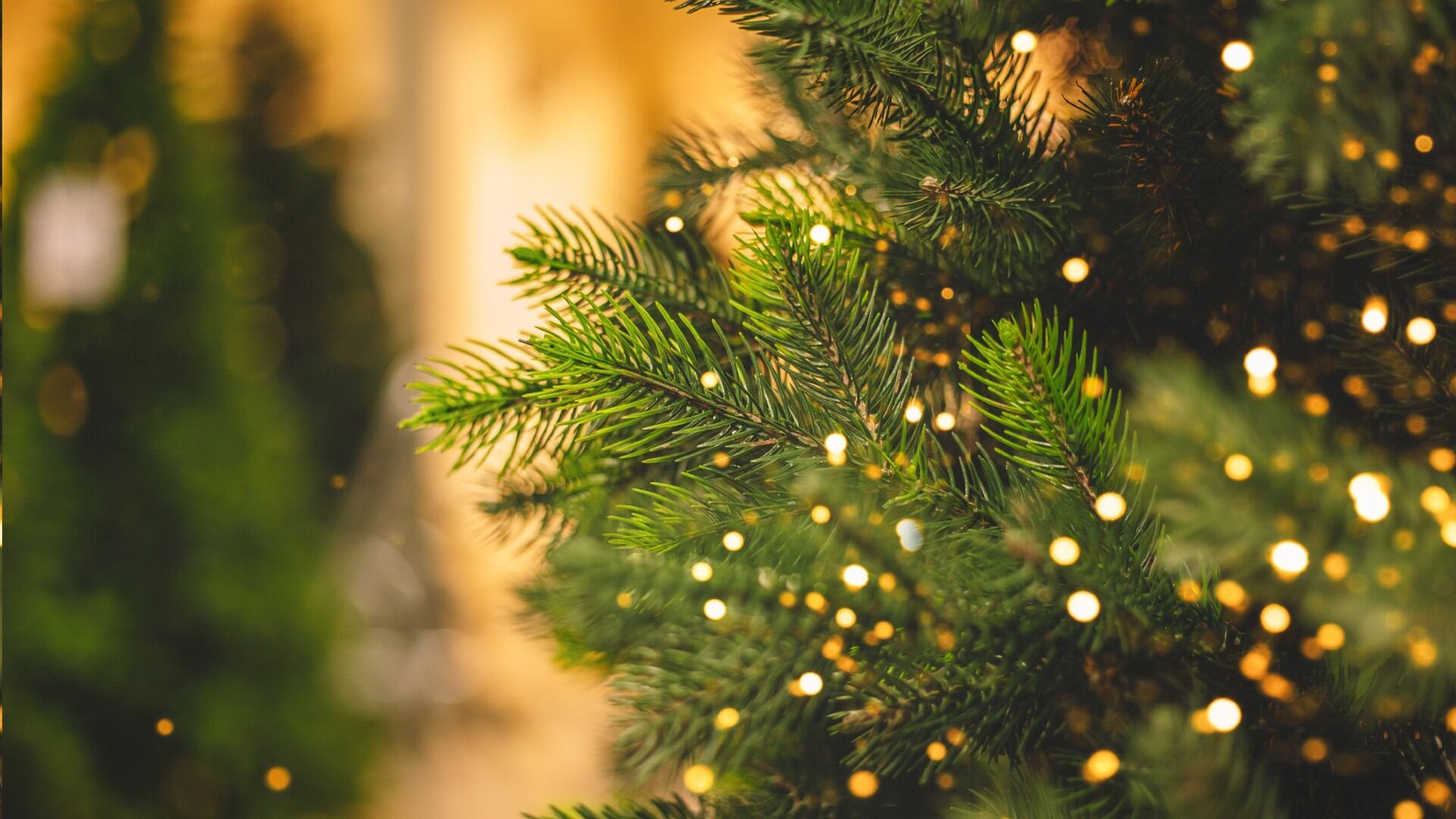Estos son los adornos que se deben colocar en el árbol de Navidad para atraer la abundancia.