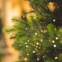 Estos son los adornos que se deben colocar en el árbol de Navidad para atraer la abundancia.