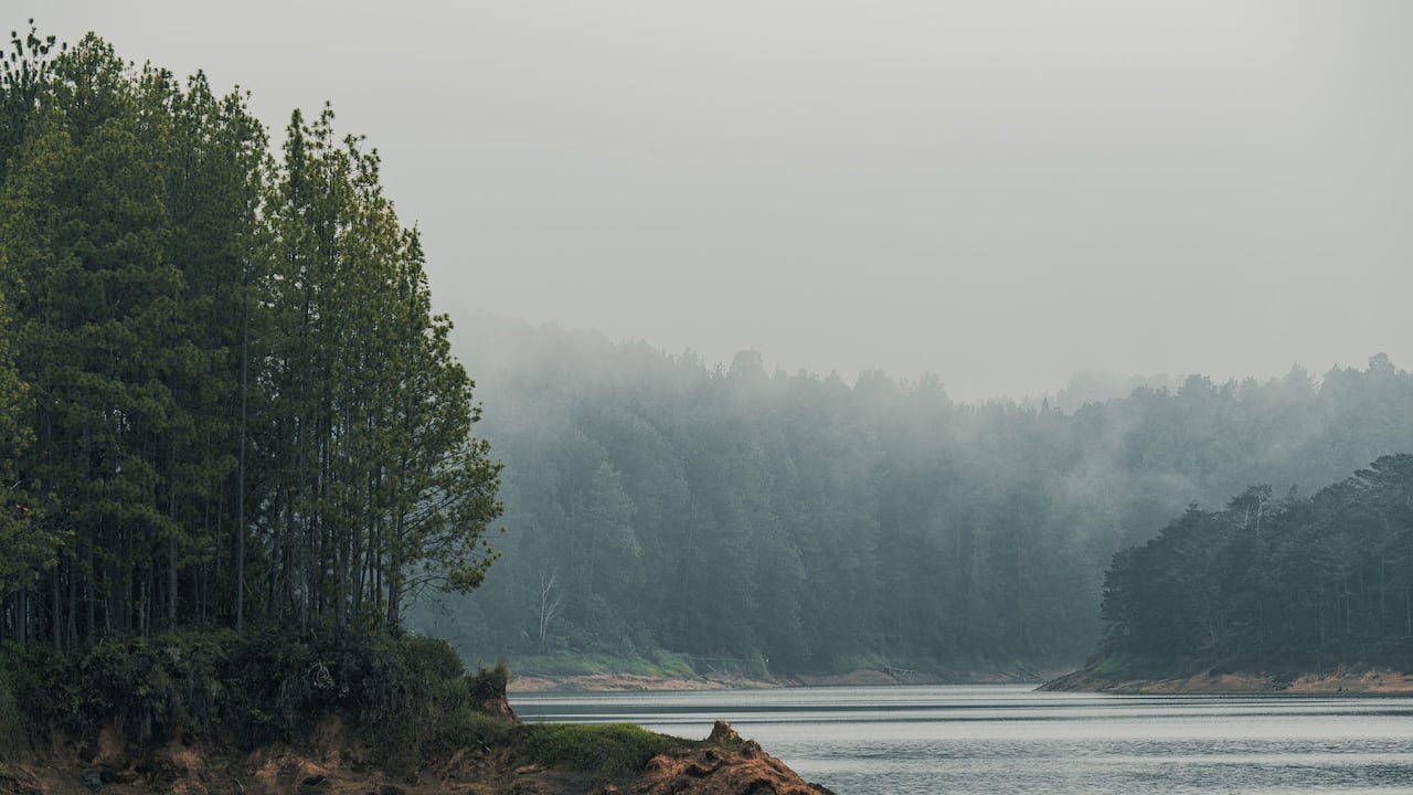 Carolina del Príncipe