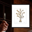 Valeriano Lanchas, Bajo barítono colombiano
Bogotá sept 14 del 2022