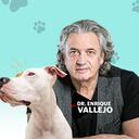 Datos curiosos | Enrique Vallejo en Salud Animal