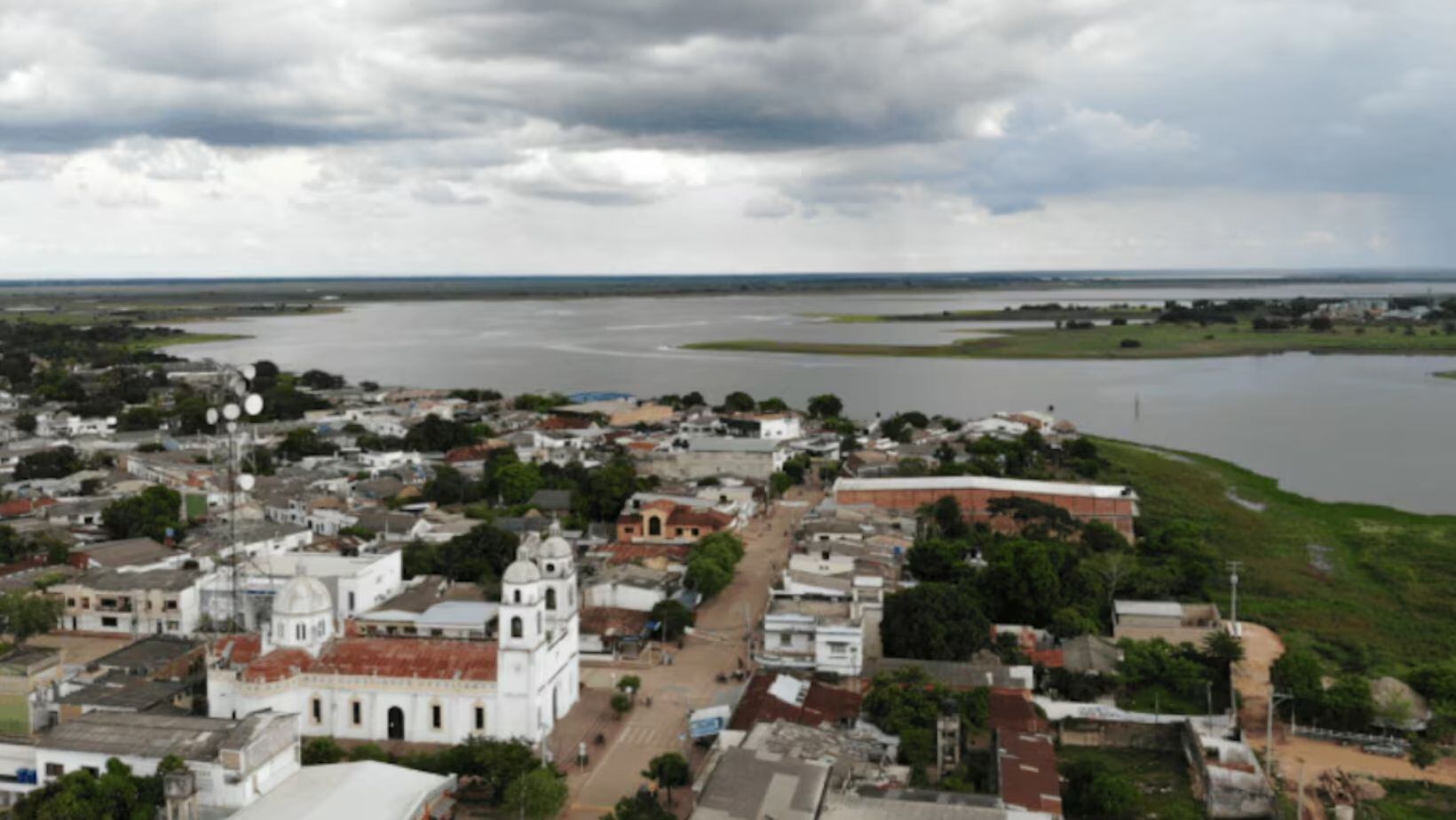 ¿Dónde está ubicado el árbol más grande de Colombia y cómo ir a conocerlo desde Bogotá? Así puede emprender esta aventura