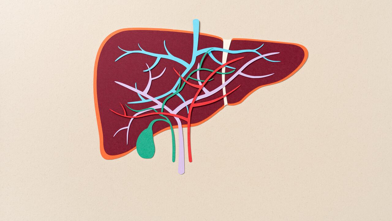 Hígado