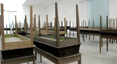 Madera, metal y hierbas.