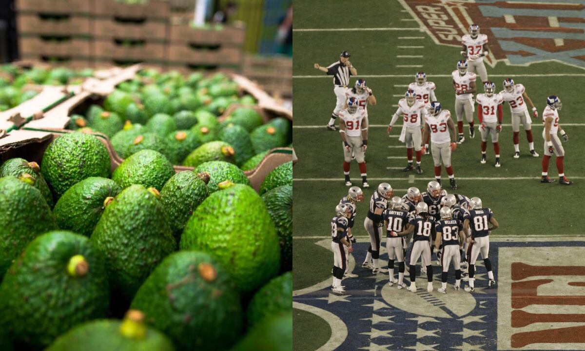 Aguacate hass, Super Bowl. Foto: Cortesía Gobernación de Caldas//AP/Charlie Riedel