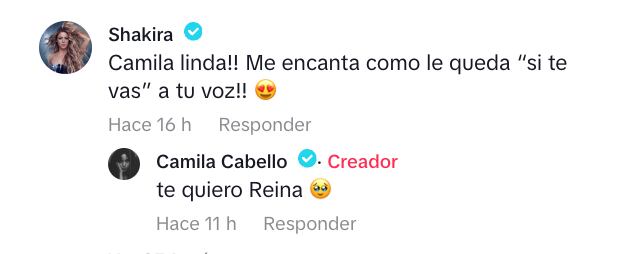 Shakira comentó el video publicado por Camila Cabello