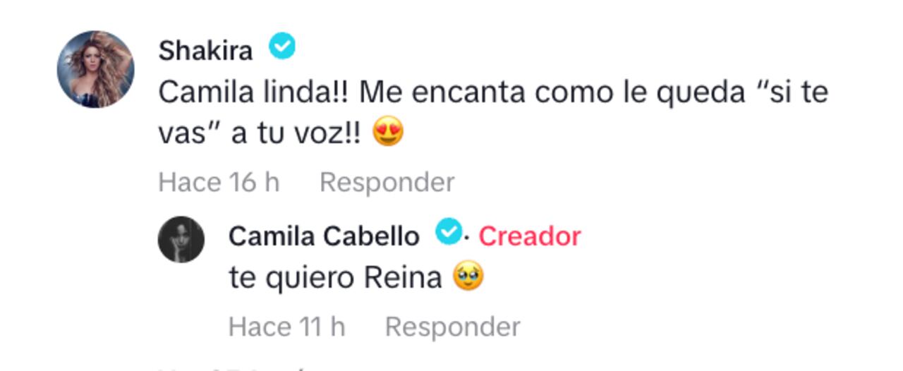 Shakira comentó el video publicado por Camila Cabello
