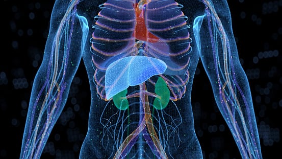 La importancia de consumir bebidas saludables.