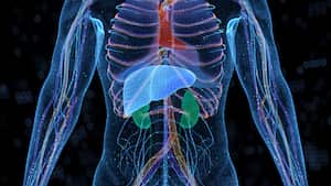 La importancia de consumir bebidas saludables.