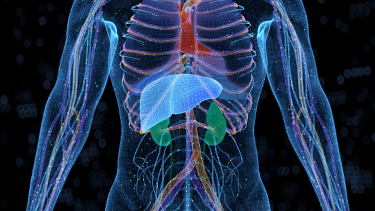 La importancia de consumir bebidas saludables.