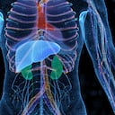 La importancia de consumir bebidas saludables.