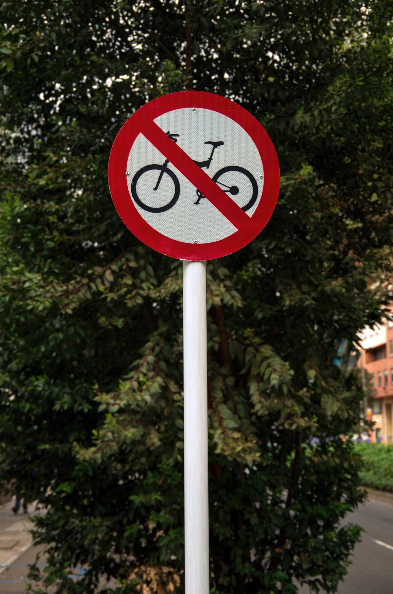 Las señales de tránsito de color rojo son de tipo reglamentario.