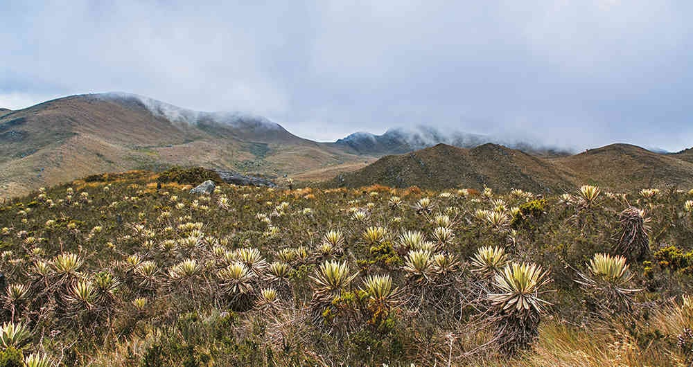 El programa ‘Yo Protejo: ¡Agua para todos!’, tiene contempladas varias fases de seguimiento, monitoreo y acompañamiento técnico para las familias beneficiadas.