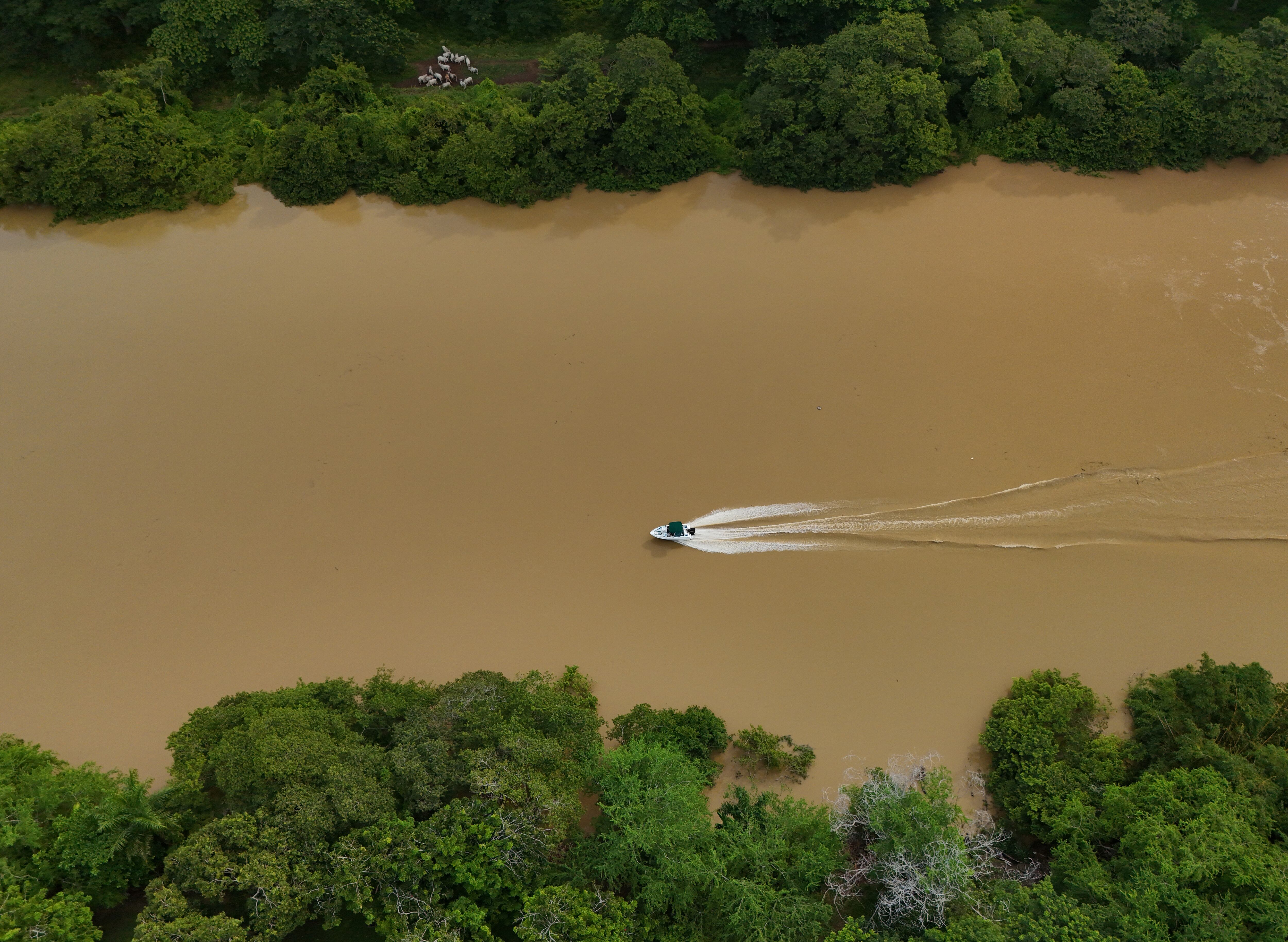 Córdoba: más que sol y playa