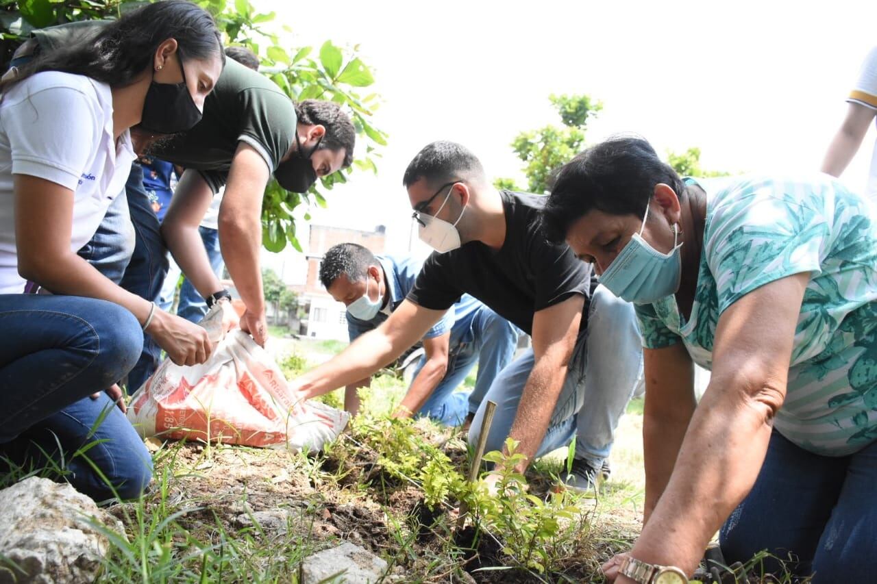 Siembra de plantas en Ibagué