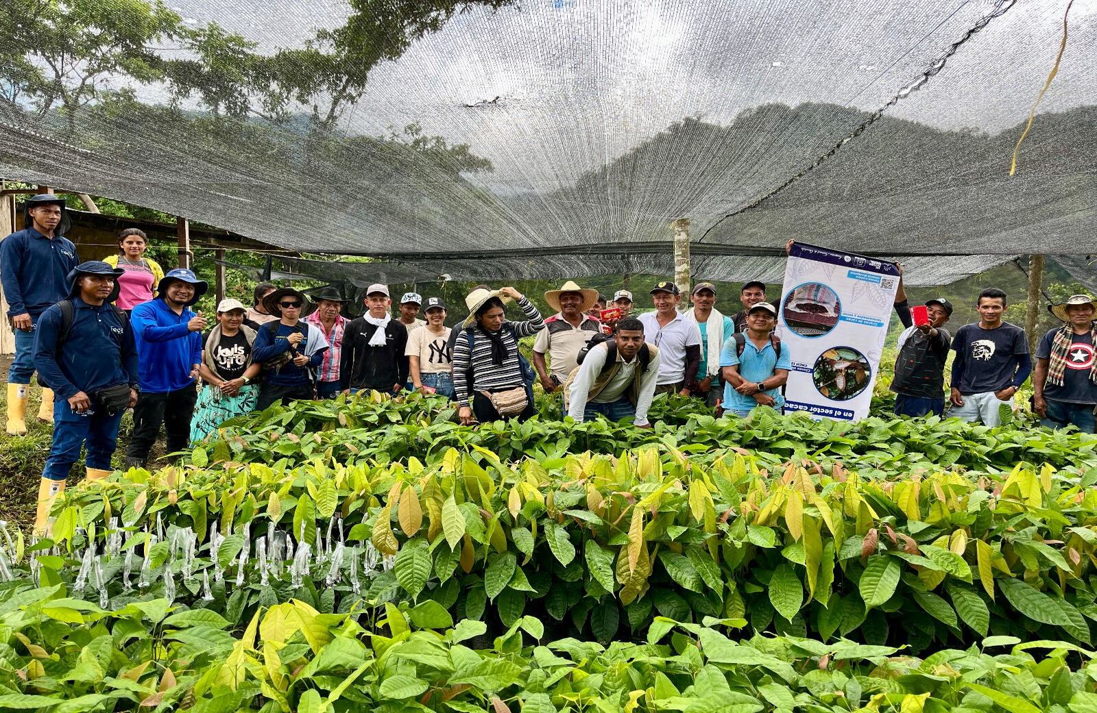 Cordillera - Especial Cacao