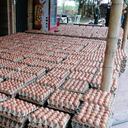 Fueron encontrados en un lote de la capital tolimense