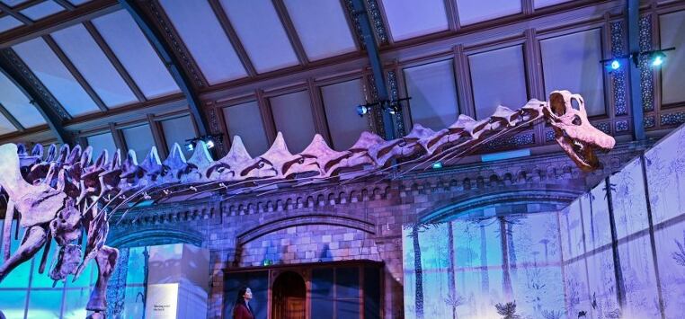 Réplica de un dinosaurio estará en Museo de Londres