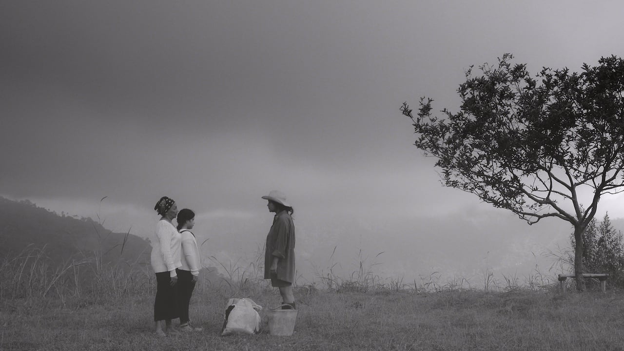 "Memorias del cuerpo" de Camilo Iguarán. Cortesía del Festival de Cine de Villa de Leyva
