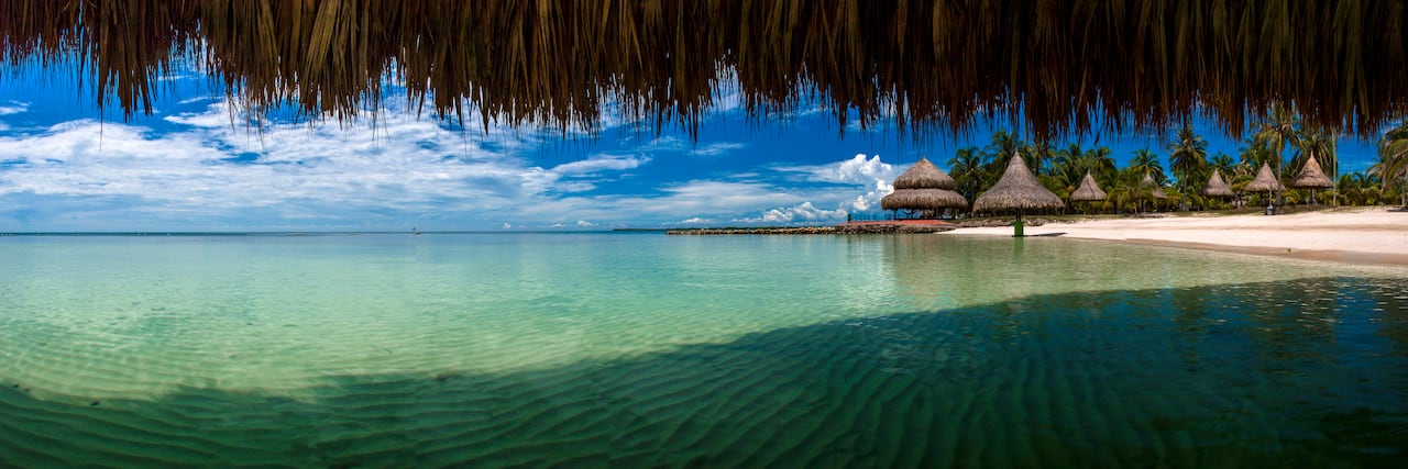 Tintipán en el Caribe