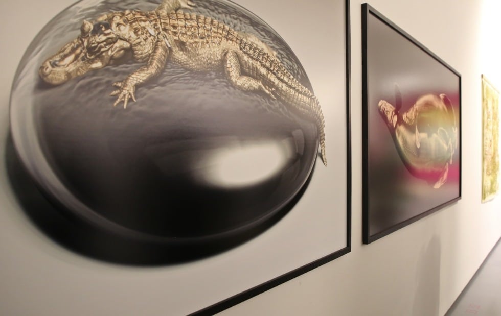 Este viaje visual revela la doble distancia presente en los grabados históricos, tanto del artista que pretendía registrar panorámicas y mapas, como de los observadores que exploraban el mundo como un paisaje natural y cultural.