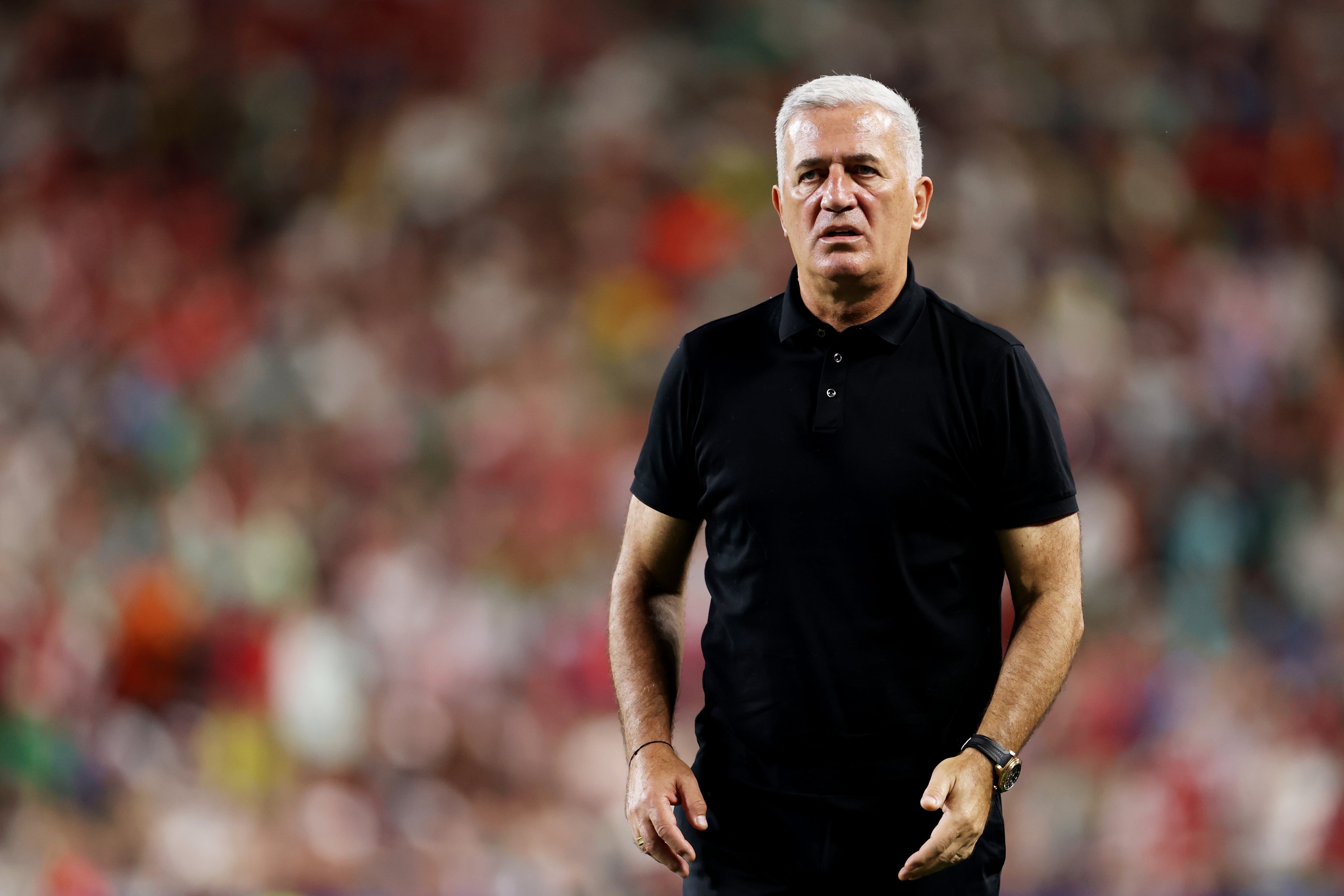 Vladimir Petkovic, técnico de Argelia.