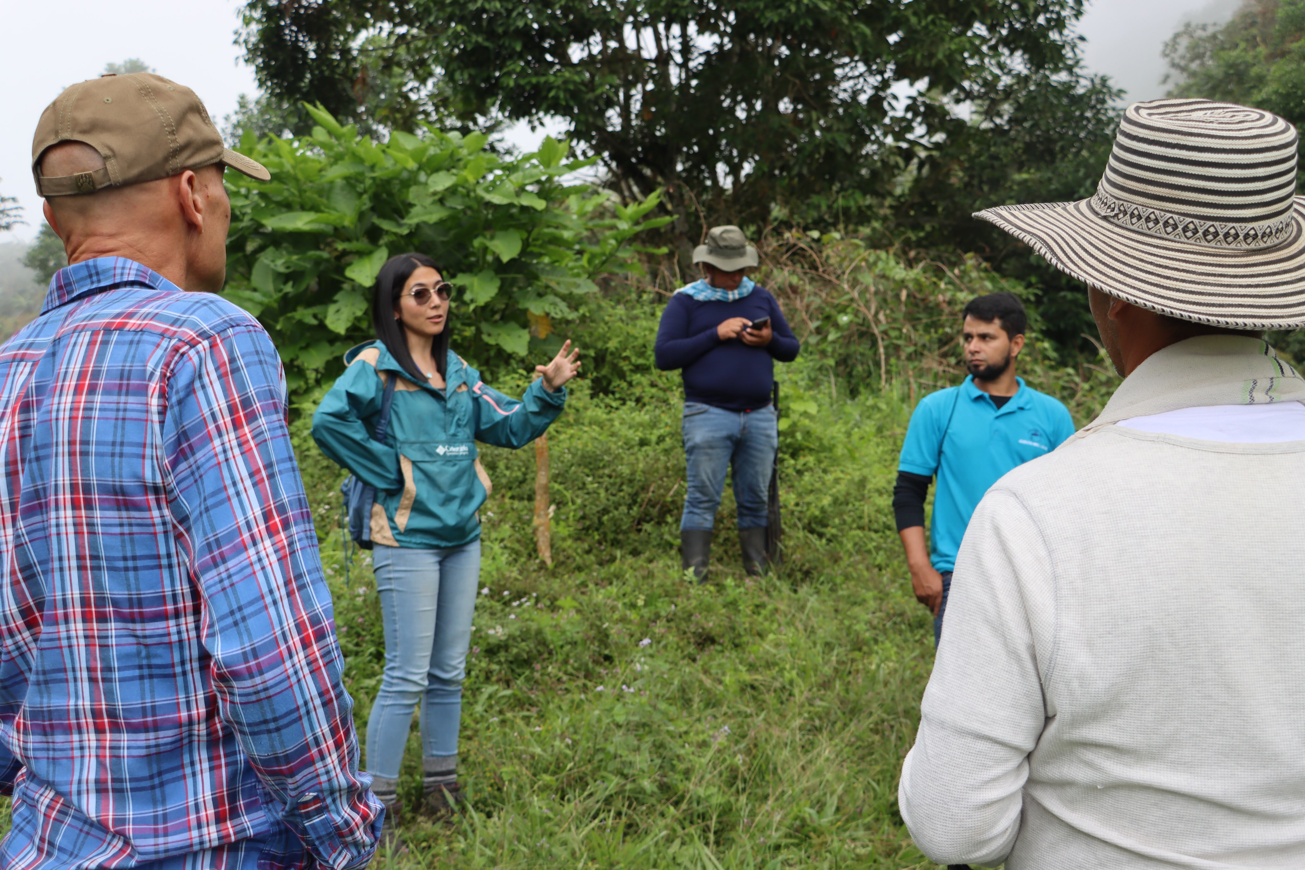 220 familias y UNIMINUTO trabajan para reforestar 11 hectáreas y proteger el nacimiento de agua de la quebrada Lagunas en Viotá, Cundinamarca.