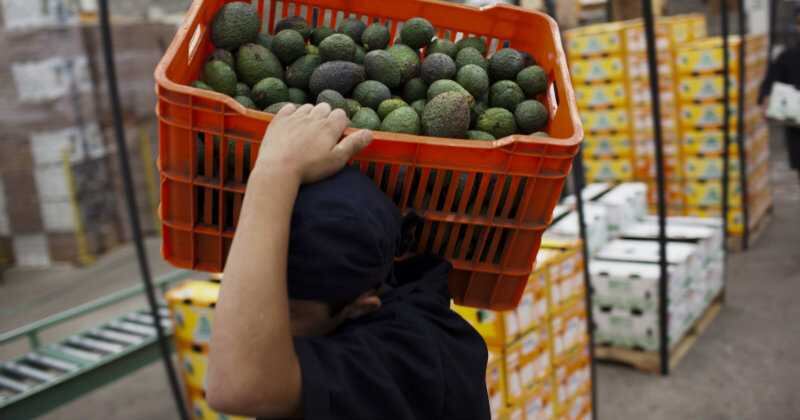 Trabajo por cuenta propia.