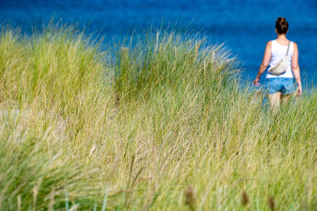 Una mujer camina en Mecklemburgo, en Alemania (Photo by Stefan Sauer/picture alliance via Getty Images)