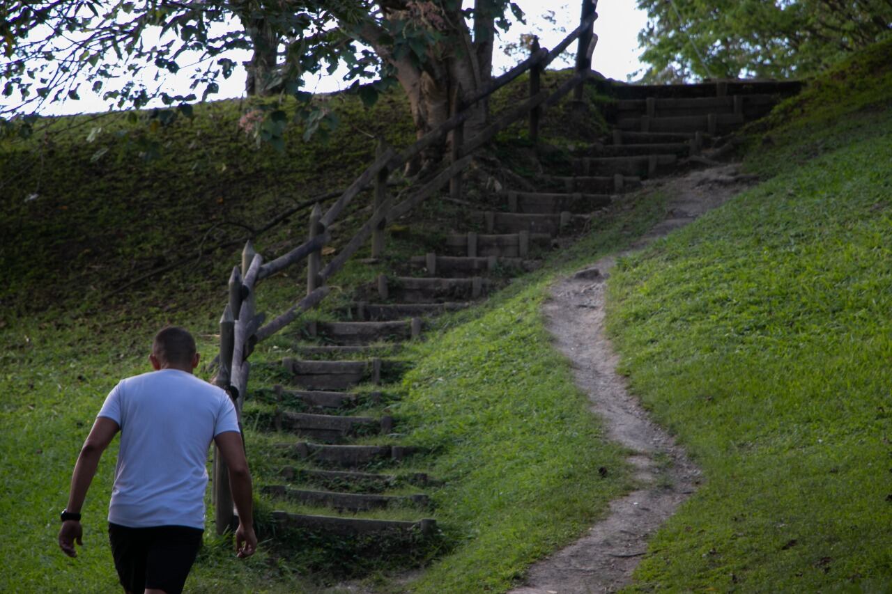 Protección a cerros tutelares en Medellín.