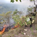 Conflagraciones han consumido 500 hectáreas de cobertura vegetal.