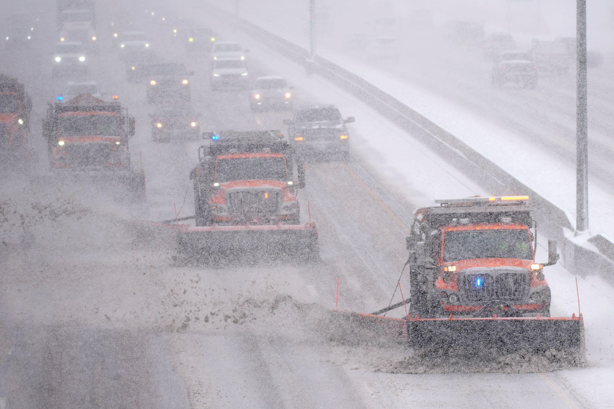 Fotos de la semana 28 enero