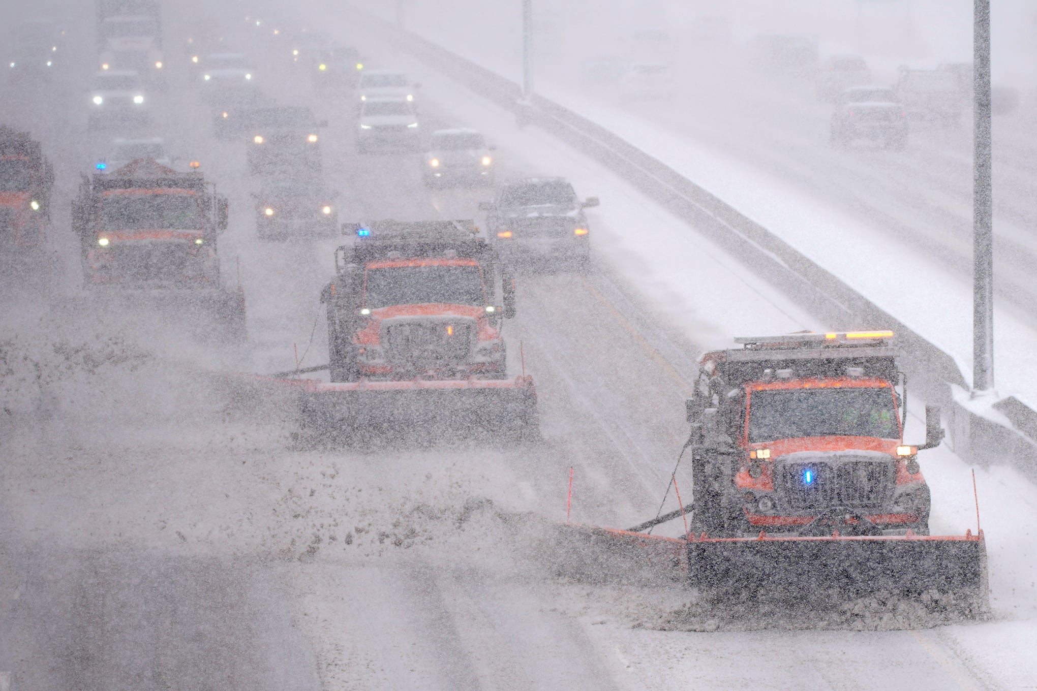 Fotos de la semana 28 enero