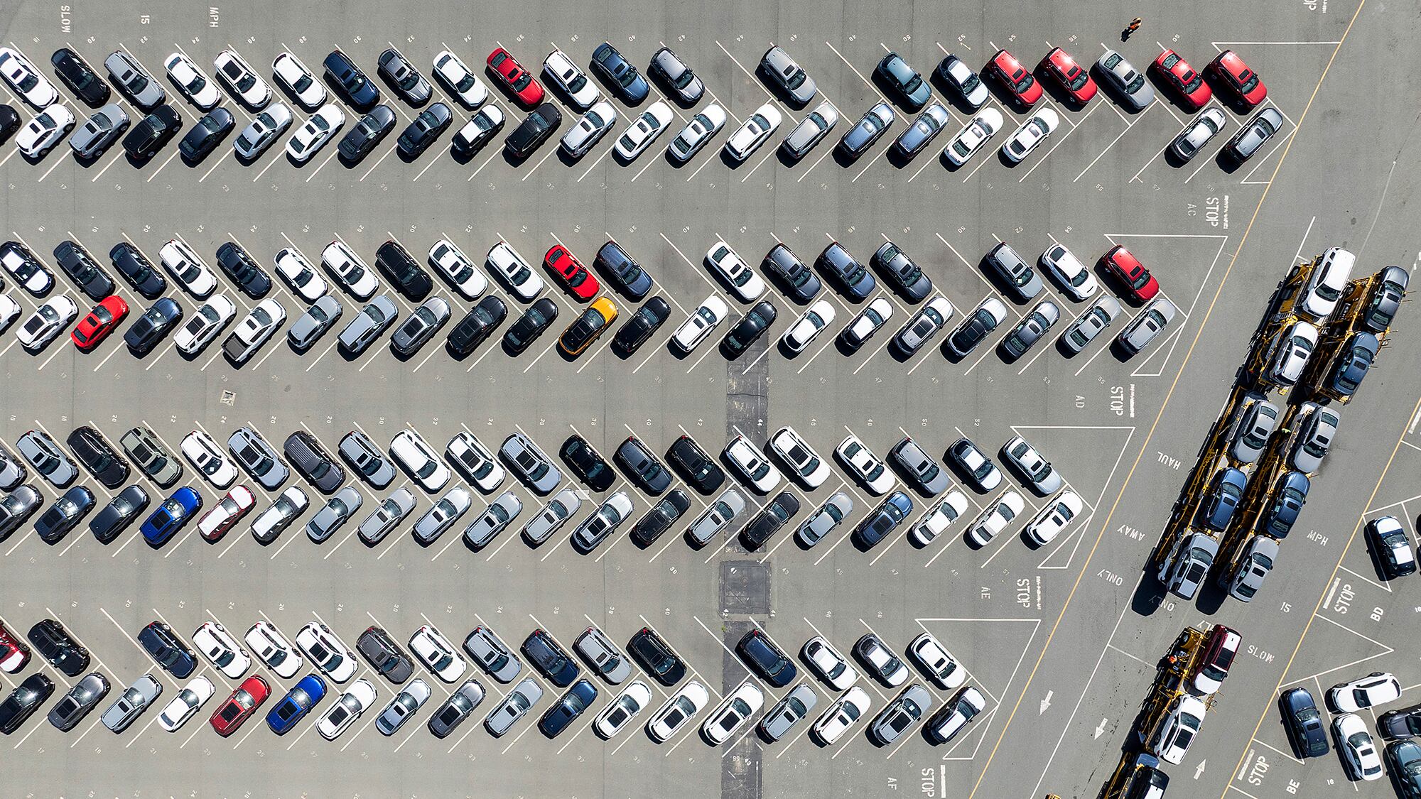 Foto de la semana 4 abril