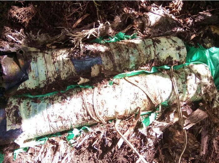 Lo que más sorprende de estos casos es que Balboa, Cauca, ya había sido un territorio libre de sospecha de minas. 
