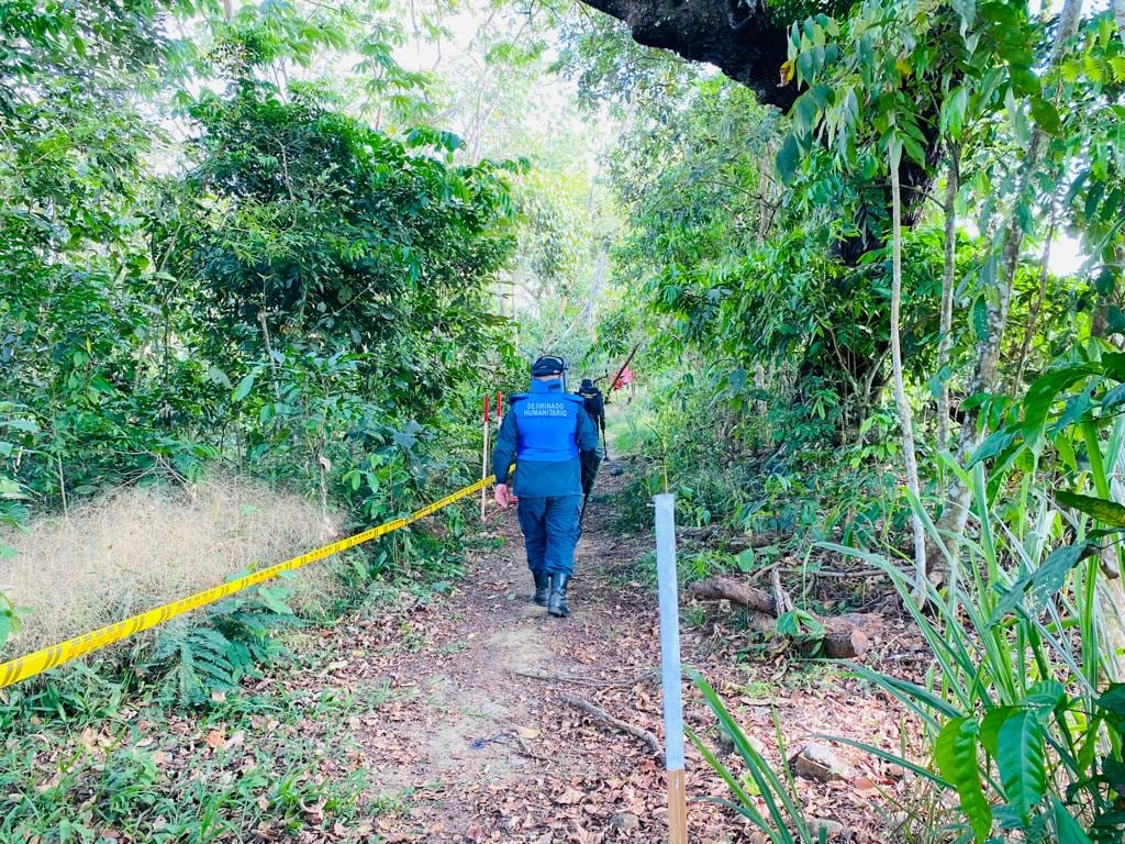 Personal de desminado humanitario del Ejército en el departamento del Meta.